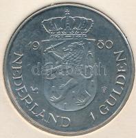 Hollandia 1980. 1G "Beatrix" T:2 Netherlands 1980. 1 Gulden "Beatrix" C:XF Krause KM#200