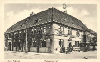 Horn-Bad Meinberg, Teutoburger Hof / hotel (EK)