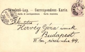 1896 Crikvenica, Cirquenizza, Verlag Marc Oberdorfer; litho