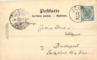 Ika bei Lovrana, Verlag Federico Cretich