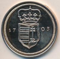 DN "II. Rákóczi Ferenc 20 poltura / Magyarok Kincstára" aranyozott bronz emlékérem T:P Tan...