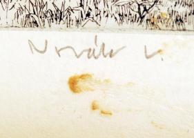 Novák N. jelzéssel: Földosztás Kalocsán 1945. tavasza. Rézkarc, papír, jelzett, üvegezett keretben, ...