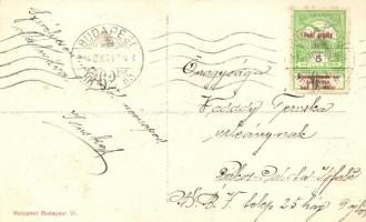 Franz Joseph in 1838