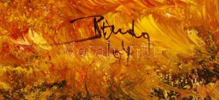 Benda Zoltán: Tanyai hangulat. Olaj, farost, jelzett, fa keretben, 59x19 cm