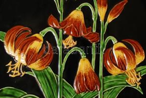 Schutz Blansko szecessziós fali dísztányér párban (2db), kézzel festett mázas kerámia, jelzett, apró...