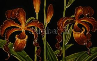 Schutz Blansko szecessziós fali dísztányér párban (2db), kézzel festett mázas kerámia, jelzett, apró...