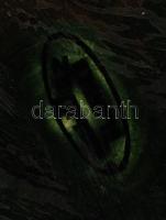 Schutz Blansko szecessziós fali dísztányér párban (2db), kézzel festett mázas kerámia, jelzett, apró...