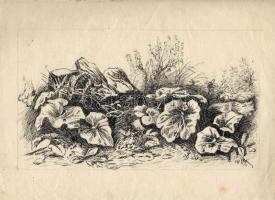 2db tusrajz, 2db festmény Medgyessy Ottó cserkészparancsnoktól