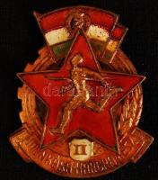 cca 1970-1980 5 db különféle sportteljesítményekért kapott díszoklevél és 1 db jelvény