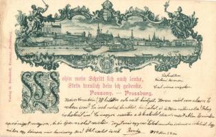 1899 Pozsony, Pressburg 'Wohin mein Schritt sich auch lenke, Stets treulich Dein ich gedenke'; Verlag R. Drodtleff (cut)