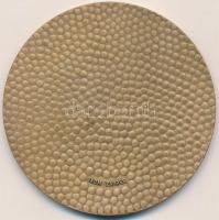 Horvátország / Zágráb DN "Horvátország Katonai Ordinariátusa" Br emlékérem (75mm) T:2
Croa...