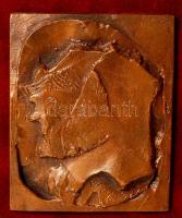Várady Sándor (1920-2000): Páris. Bronz fali kép, jelzett, keretben, 13×10,5 cm