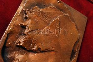 Várady Sándor (1920-2000): Páris. Bronz fali kép, jelzett, keretben, 13×10,5 cm