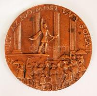 Búza Barna (1910-2010): "Itt az idő most vagy soha" Bronz két oldalas plakett, jelzett, d:...