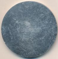 Franciaország DN "Általános Fegyverzeti Küldöttség" fém emlékérem (65mm) T:2
France ND &qu...