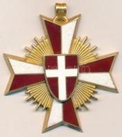 Ausztria DN "Bécs Város Aranyozott Szolgálati Érdemérme" jelzett aranyozott, zománcozott kitüntetés sima hátlappal mellszalag nélkül T:2 Austria ND "Golden Medal of Merit of the Province of Vienna" hallmarked, gilt, enamelled Ag decoration with plain back without ribbon C:XF