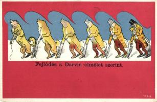 Fejlődés a Darwin elmélet szerint / Darwin's theory, humour