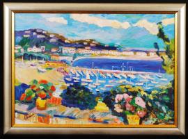 Schéner Mihály (1923-2009): Városi kikötő. Olaj, farost, jelzett, keretben, 50×70 cm