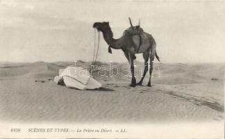 Praying in the desert, folklore