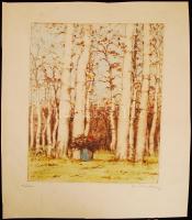Csillag József (1894-1977): Nyíres. Színezett rézkarc, papír, jelzett, 23×17 cm