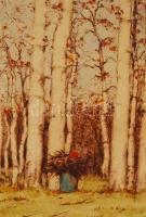 Csillag József (1894-1977): Nyíres. Színezett rézkarc, papír, jelzett, 23×17 cm