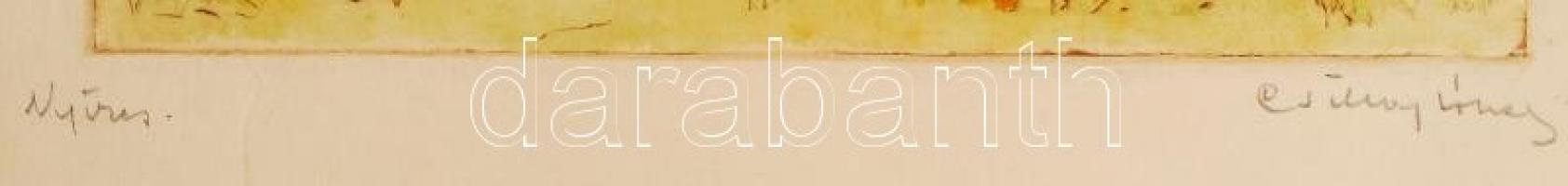 Csillag József (1894-1977): Nyíres. Színezett rézkarc, papír, jelzett, 23×17 cm