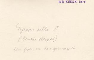 cca 1930-1935 Kinszki Imre (1901-1945): Gyapjas pille, cca 10x nagyításban, pecséttel jelzett, felir...