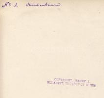 cca 1930 Kerny István (1879-1963): Csőszkunyhó egy virágzó fa tövében, pecséttel jelzett vintage fot...