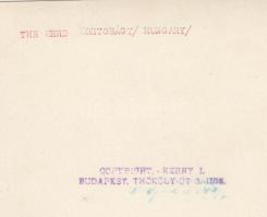 cca 1920-1930 Kerny István (1879-1963): Delelő gulya a Hortobágyon, pecséttel jelzett vintage fotó, ...