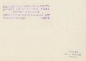 cca 1930 Kerny István (1879-1963): Nyáj a szélfogó mögött, Bugac puszta, pecséttel jelzett vintage f...