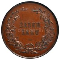 ~1900. "A Vasmegyei Gazdasági Egyesület / Érdem Érem" Br érem, Körmöcbánya (47.46g/47,5m) T:1-
