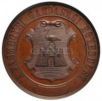 ~1900. "A Vasmegyei Gazdasági Egyesület / Érdem Érem" Br érem, Körmöcbánya (47.46g/47,5m) ...