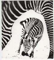 1966 Don Hong-sai (Vietnám): Zebrák, grafikus hatású fotómontázs, 12x11 cm
