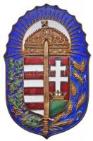 1924. "Vitézi Jelvény" zománcozott kitüntetés + Vitézzé avatás oklevele vitéz Lánczos Káro...