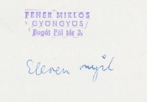 cca 1970 Fehér Miklós: Eleven nyíl, pecséttel jelzett vintage természetfotó, 11x24 cm