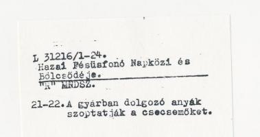 cca 1950 A Hazai Fésüsfonó Gyárban dolgozó anyák ebédidőben szoptatják a csecsemőket, aztán mennek v...