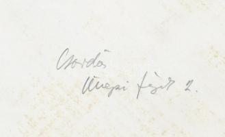 cca 1960 Csordás: Ünnepi fények Budapesten, 24x18 cm