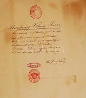 1872 Angerer (Bécs): Unghváry Vilmos János (Szarvas, 1833-1902) mérnök és okleveles gazda portréja, ...