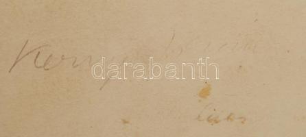 cca 1920-1930 Kerny Isván(1879-1963): A balatoni szezon végén, aláírva, több felületi hibával, 31x25...