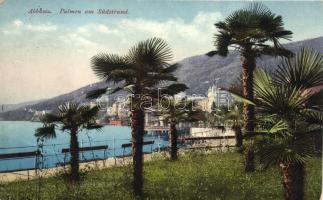 Abbazia, Palmen am Südstrand / palm trees, beach (EB)