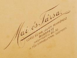 cca 1900-1910 Mai Manó és Társa műterméből egy családi fotó, 19x12,5 cm, karton 30x22 cm
