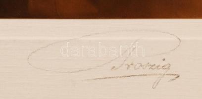 1928 Proszig: Katonatiszt családi fotója, színezett szép kitüntetésekkel, fotóméret 17x22 cm, karton...