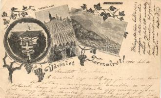 Tarcal, Vincellér iskola, Theresia és Kopasz hegy, K. Tompa pincészet és bejárata (b)