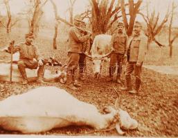 1914-1918 Katonai fotók, mészáros legények az ellátó alakulatnál, 5 db fotólap, ebből három megírva, postázva, 9x14 cm / 1914-1918 Military photos from the world war I., catering, 5 photos, 9x14 cm
