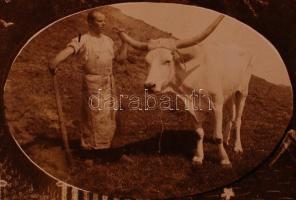 1914-1918 Katonai fotók, mészáros legények az ellátó alakulatnál, 5 db fotólap, ebből három megírva,...