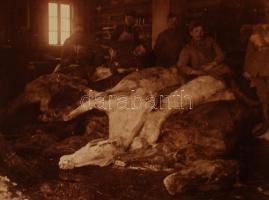 1914-1918 Katonai fotók, mészáros legények az ellátó alakulatnál, 5 db fotólap, ebből három megírva,...