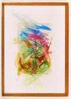 Szirányi István (1951-):Ipomoea Violacea. Vegyes technika, papír, jelzett, üvegezett keretben, 46×30 cm