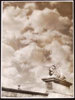 cca 1935-1940 Vadas Ernő (1899-1962): A Széchenyi lánchíd felvigyázó oroszlánja, pecséttel, aláírással jelzett vintage fotó, a Hungária Magazinban publikálva, 24x18 cm