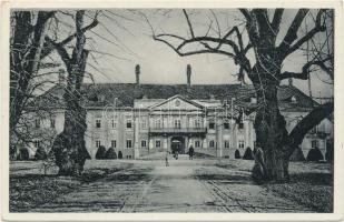 Malacka, kastély / castle (EK)