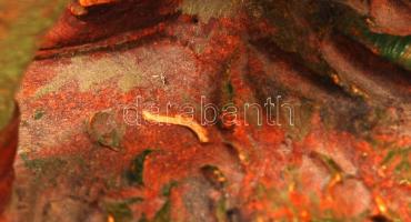 Bernhard Bloch, Eichwald: Kalapos hölgy. Festett terrakotta, jelzett, apró lepattanással, formaszám:...